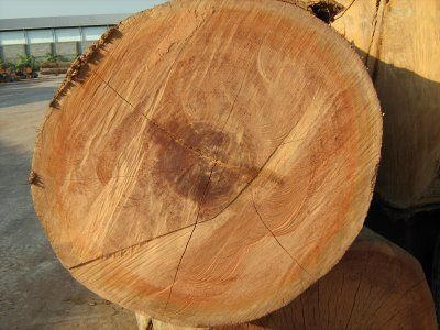 Keruing Wood Logs