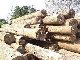 Merbau Wood Logs