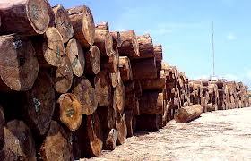 Resak Wood Logs