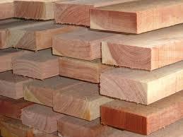 Timber Logs