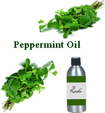 Peppermint Oil