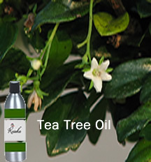 Tea Tree Oil