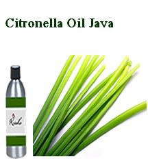 Citronella Oil