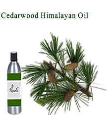 Cedarwood Himalayan Oil