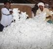 Raw Cotton  Waste 