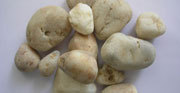 Off White Pebble Stone 