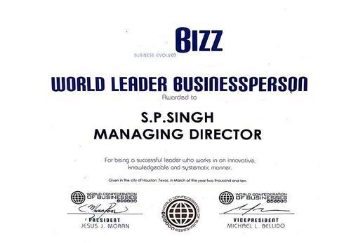 World Leader Business Person