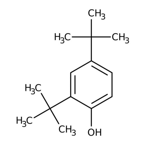 2,4-Ditertiary Butyl Phenol 2,4-Ditertiary Butyl Phenol