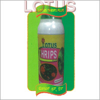 Lotus Thrips Plus Pesticides