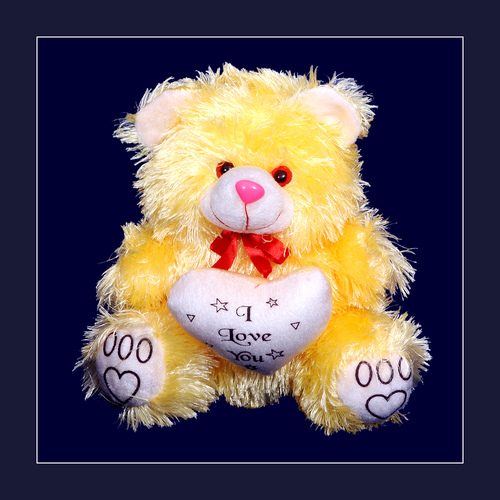 Soft Toys