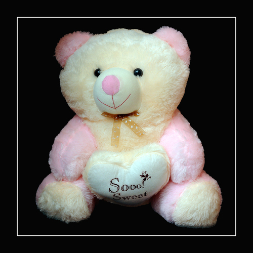 TEDDY BEAR