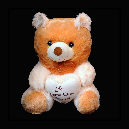 TEDDY BEAR