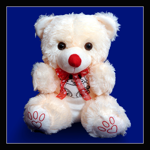 MY TEDDY