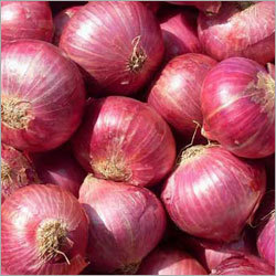 Fresh Vegetables