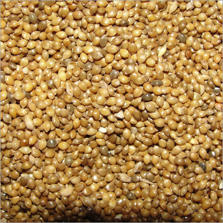 Green Millet