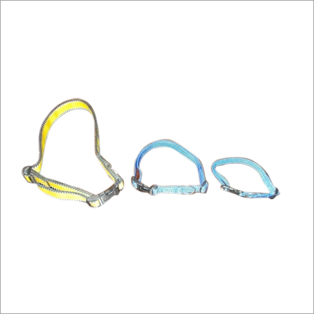Dog Collars