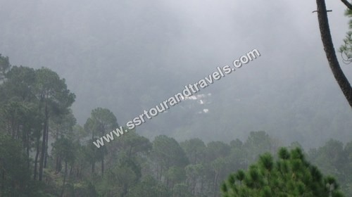 Corbett National Park Tour Packages