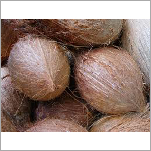 Farm Fresh Coconuts