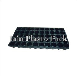 Seed Trays