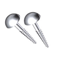 Mirror Screws