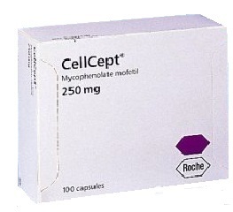 cellcept250 mg capsules
