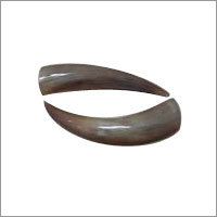 Buffalo Horn