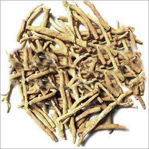 Ashwagandha Seeds