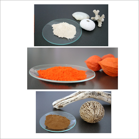 Epoxy Powder Coatings