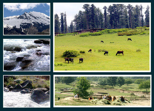 Srinagar Tour Packages