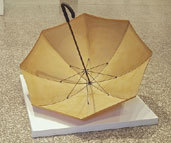 Bulletproof Umbrella