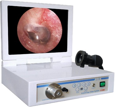 Portable Video Endoscopy Unit