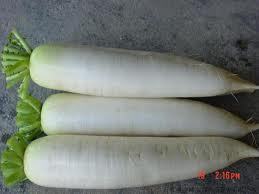 SHALIN Radish