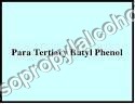 Para Tertiary Butylphenol Para Tertiary Butylphenol