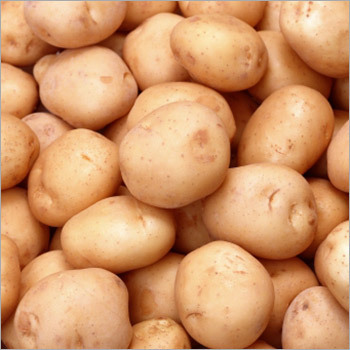 Fresh Potatoes