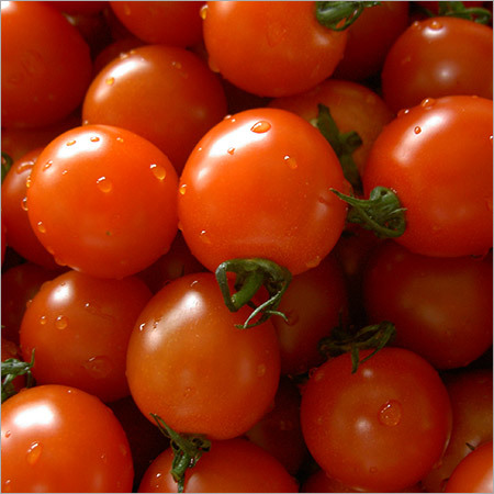 Red Tomato