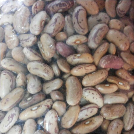 Kidney Beans