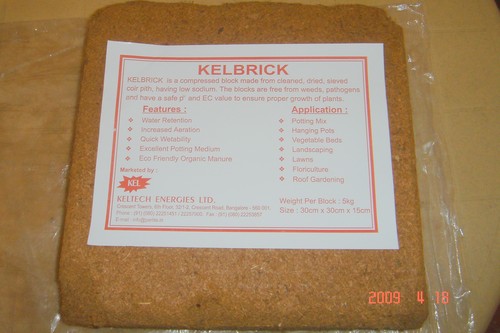 Kelbrick