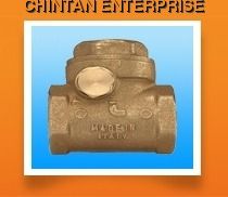 Swing Check Valve