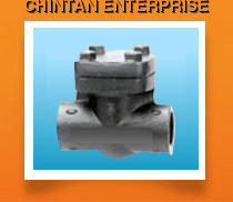Check Valves