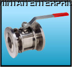 S.S. Three Piece Flanged End