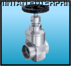 CS Gate Valve Flanged Type