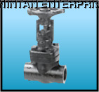 Forged Carbon Steel Globe Valve