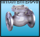 CS Swing Check Valve Flanged