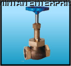 Gun Metal Steam Valve Screwed End/ Flanged End