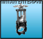 GLAND PULP VALVE