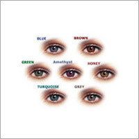 Cosmetic Contact Lenses