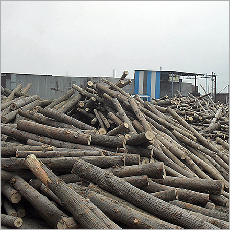 Sawn Timber Logs