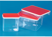 Storage Boxes By SINGHLA SCIENTIFIC INDUSTRIES