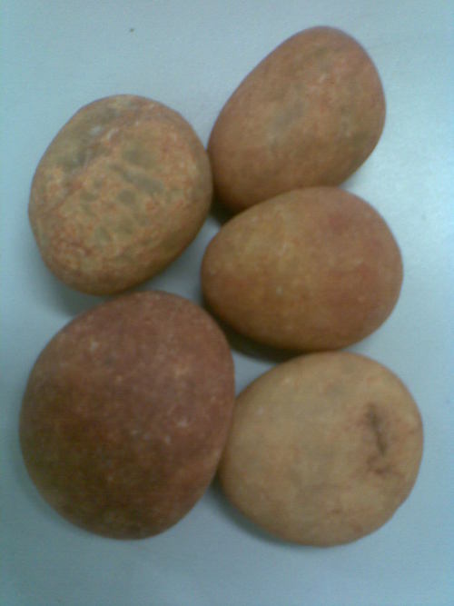Natural River Brown  Pebble Stone