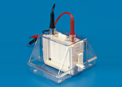 Mini Dual Vertical Eelectrophoresis Unit